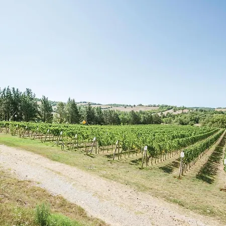Hébergement de vacances Poggio Lapparita